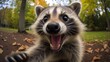 Close-up selfie portrait of a raccoon.