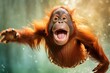 Happy orangutan jumping and having fun.