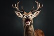 Happy surprised deer with open mouth.