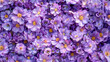 Purple wall background with amazing flowers.
