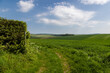 Farmland in Sussex on a sunny spring day, with a patway leading around the fields
