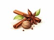 whole spices like cinnamon and star anise