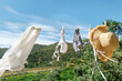 White woman  bikini swimsuit hanging air drying on line in summer sunny windy day. Swimwear, pareo and straw hat flutter on the wind. Summer concept of vacation, relax, holiday.