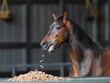 A brown horse is eating food from a pile of food