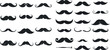 © Zaleman - Mustache icons. fashion dandy hipster beard, barber shop signs