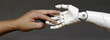 A harmonious embrace between human and robotic hands signifying unity and technological advance. A human hand intertwines with a robots, symbolizing a connection between humanity and machines