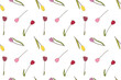 Vector floral seamless pattern with pink, red and yellow tulips on a white background.