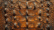 brown crocodile skin pattern texture background