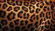 Animal print textile texture. - Leopard fur background