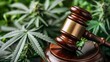 Gavel Resting on Cannabis Leaves Symbolizing Marijuana Legalization and Judicial Decisions