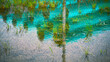 Flooded yard after rain storm, turquoise-colored reflections and overgrown grasses in the water like impressionist painting