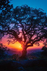 Poster - sunset through the branches of an old oak, sky in a gradient from soft lavender to dark blue,