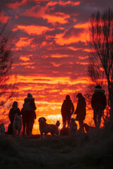Wall Mural - Urban park at sunset, silhouette of people and dogs against a backdrop of stunning orange and pink skies,