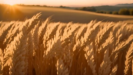 Poster - Sun Setting Over Wheat Field Generative AI