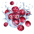 Vibrant cranberries splashing in water, watercolor, illustrating concepts of freshness, healthy eating, and cranberry harvest season, suitable for Thanksgiving and food-themed designs