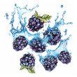 Fresh blackberries with vibrant water splash on white background, watercolor, ideal for food blogs and summer refreshment themes