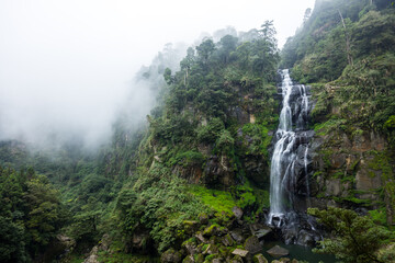 Sticker - Tropical waterfall in the forest