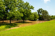 Towering pecan trees in a park stand amidst flooded waters along a riverbank after a spring storm in the Texas Hill Country.