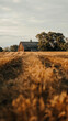Photo of a farm. Countryside landscape