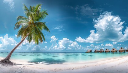 Canvas Print - Experience ultimate tranquility on a pristine white beach with a leaning palm tree and luxurious overwater bungalows in the horizon