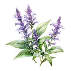 Wall Mural - Hyssop