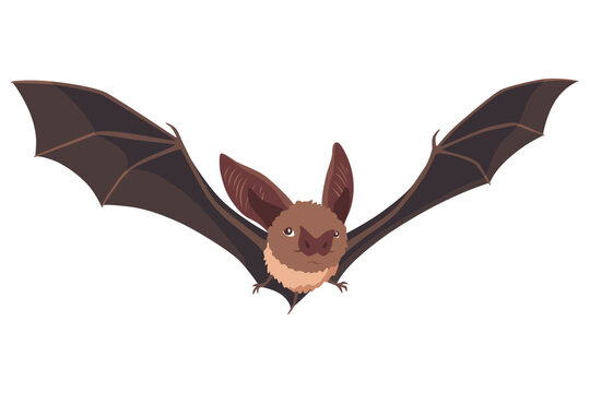 Bat. Concept cartoon bat. Vector clipart illustration isolated on white background