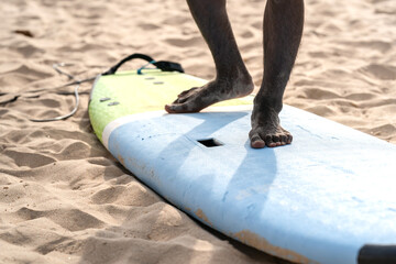 an example position of asian professional feet on a surfboard in surfing board lesson study and trai