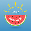 Hello summer, bright juicy watermelon on a blue background, summer vector illustration.