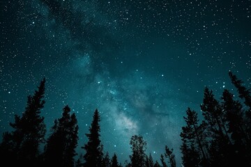 a dark night sky dotted with stars above a forest of tall trees, a backdrop as dark as the night sky