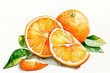 Orange, High in vitamin C, boosts immune system, watercolor illustration