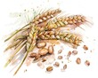 A watercolor illustration showcasing spelt, renowned for its richness in fiber and essential minerals, embodying the superfoods concept.