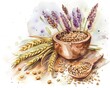 Spelt, Rich in fiber and minerals, superfoods conception