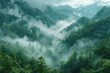 Dense mist over lush green mountains