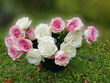 bunch of pink and white roses in a bucket on green lawn