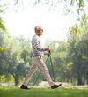 Mature man with walking poles in a park