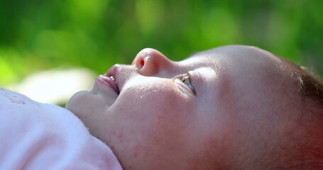 Wall Mural - Baby infant lying outside in the sunlight