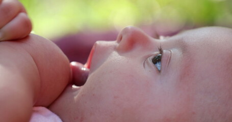 Canvas Print - Baby newborn infant closeup face outdoors