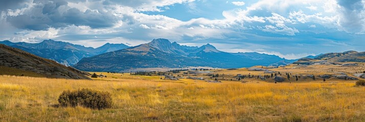 Wall Mural - Golden Beartooth Mountains: Majestic Landscape View of Nature's Yellow Grass, Fields, and