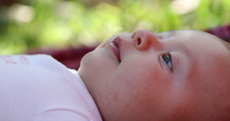 Wall Mural - Happy cute newborn baby infant face closeup lying in grass outdoors