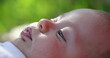 © Marco - Infant baby face lying in grass outdoors