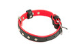 Black leather dog collar Isolated on a white.