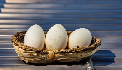 Sticker - 3 white duck eggs in a basket