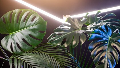 Sticker - tropical leaves illuminated with blue and green