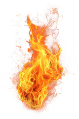 PNG Bonfire flame effect, transparent background.