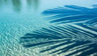 © Olga - Shadows of palm leaves on Rippling blue Water Surface, tropical background