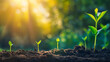 © MobiWall - Young agriculture plant seeding growing step concept in garden and sunlight