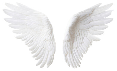 Wall Mural - PNG  Pair of white angel wing bird white background lightweight.