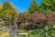 Autumn flora and pond at Mayfield Garden