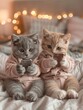 Funny meme kittens in pajamas looking at smartphones