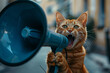 photo of ginger cat holding megaphone, looking at camera and screaming, blue color scheme